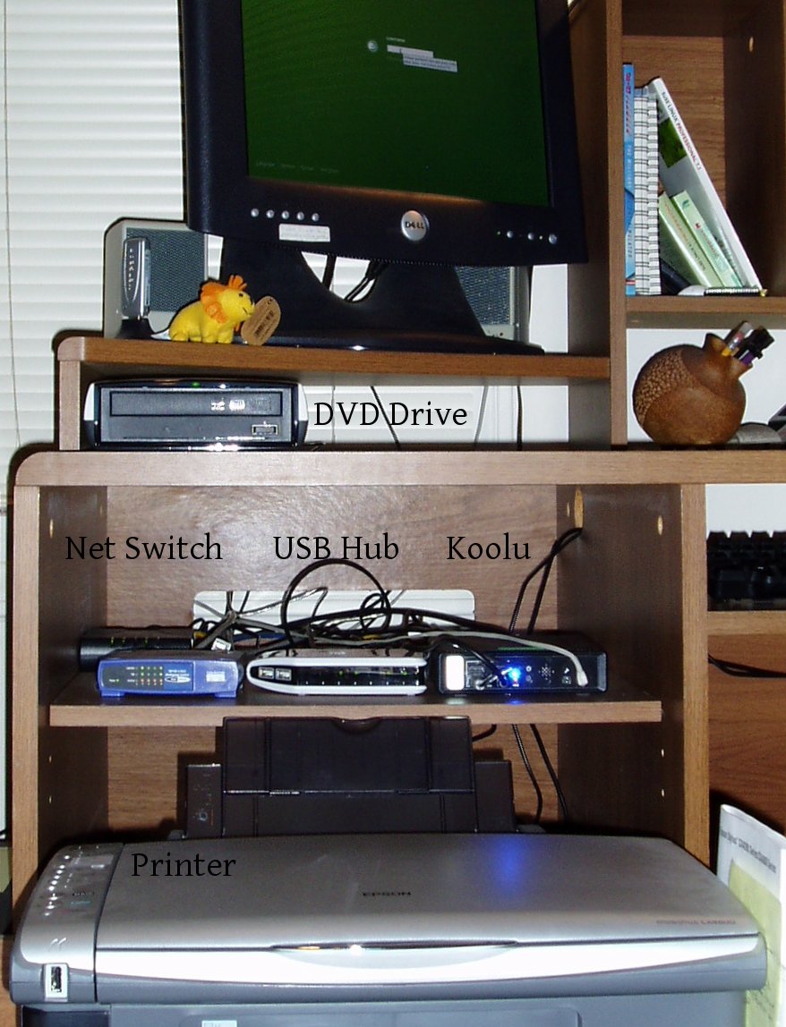 System in its Niche